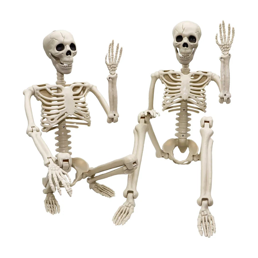 Ravenmoor 3 ft Skeleton