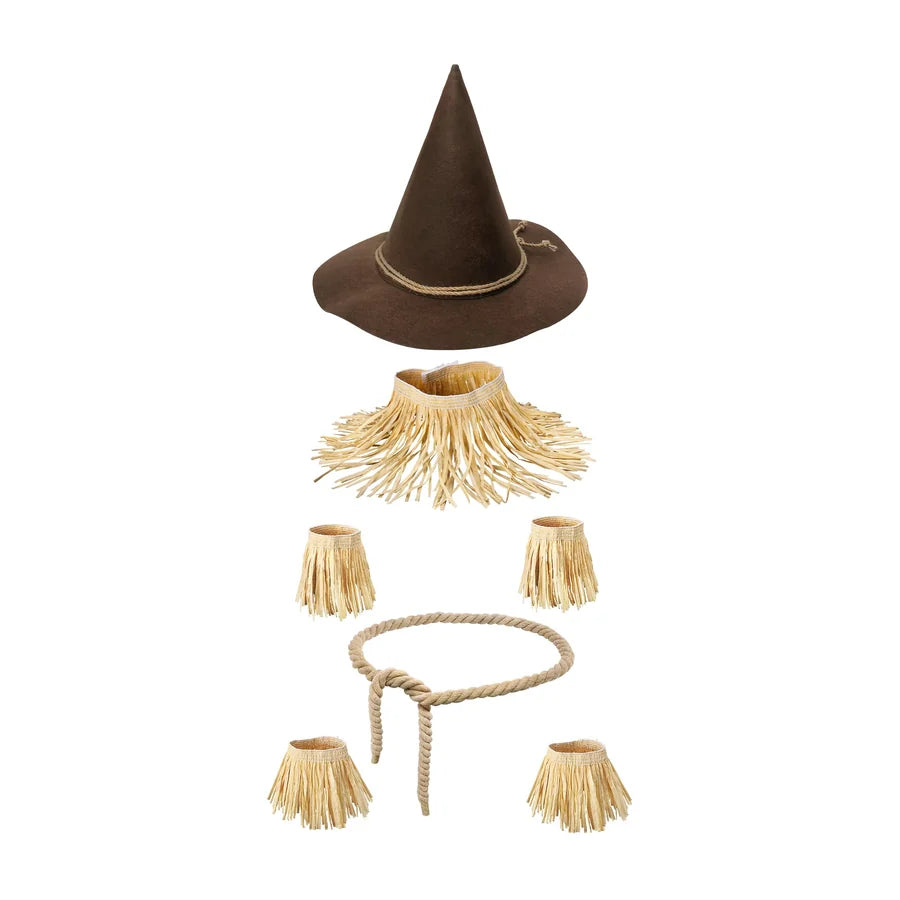 Ashgrave Scarecrow Costume