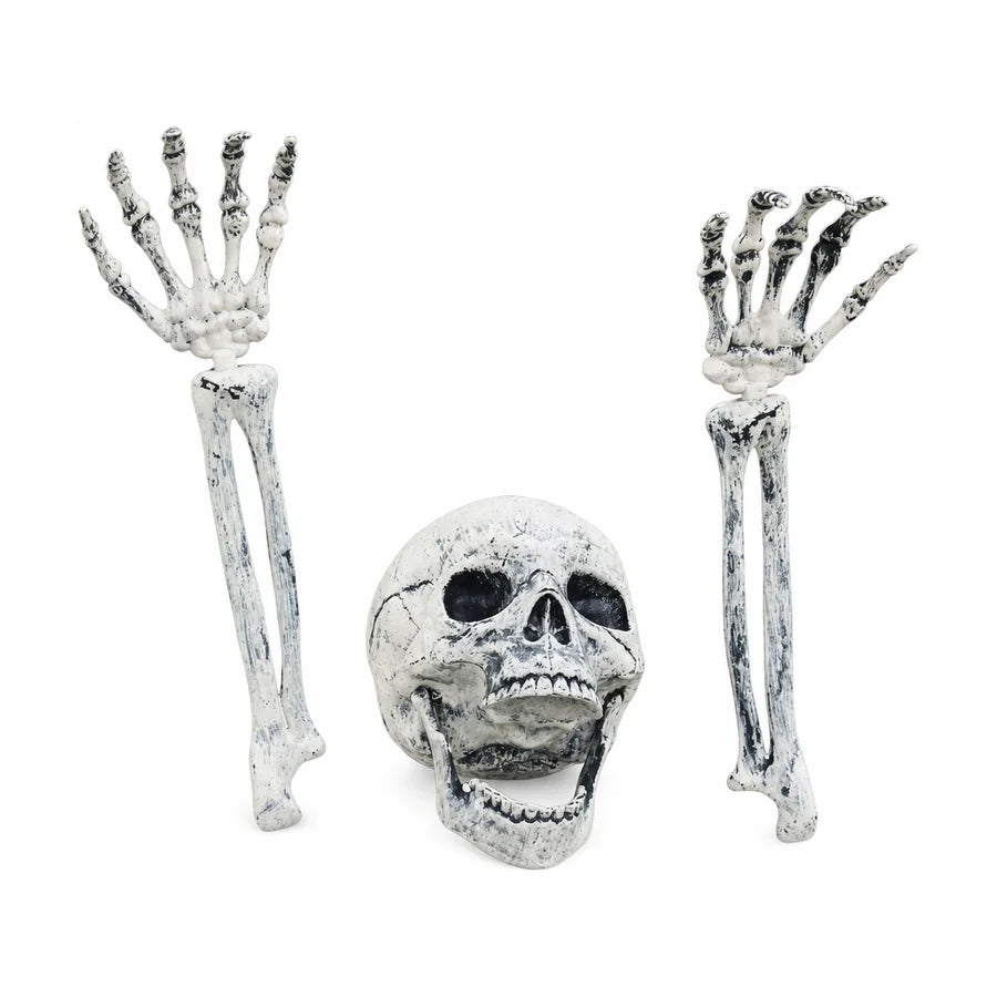 Ashgrave Skeleton