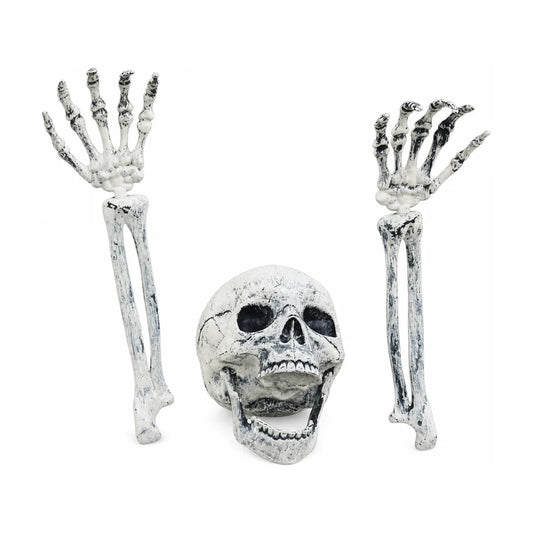 Ashgrave Skeleton