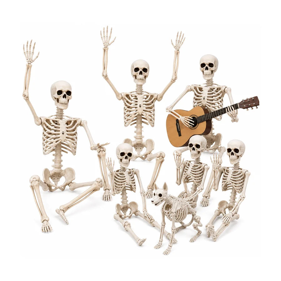 Rookhaven Skeleton 6 pack (3 x 5.4 ft + 3 x 3 ft)