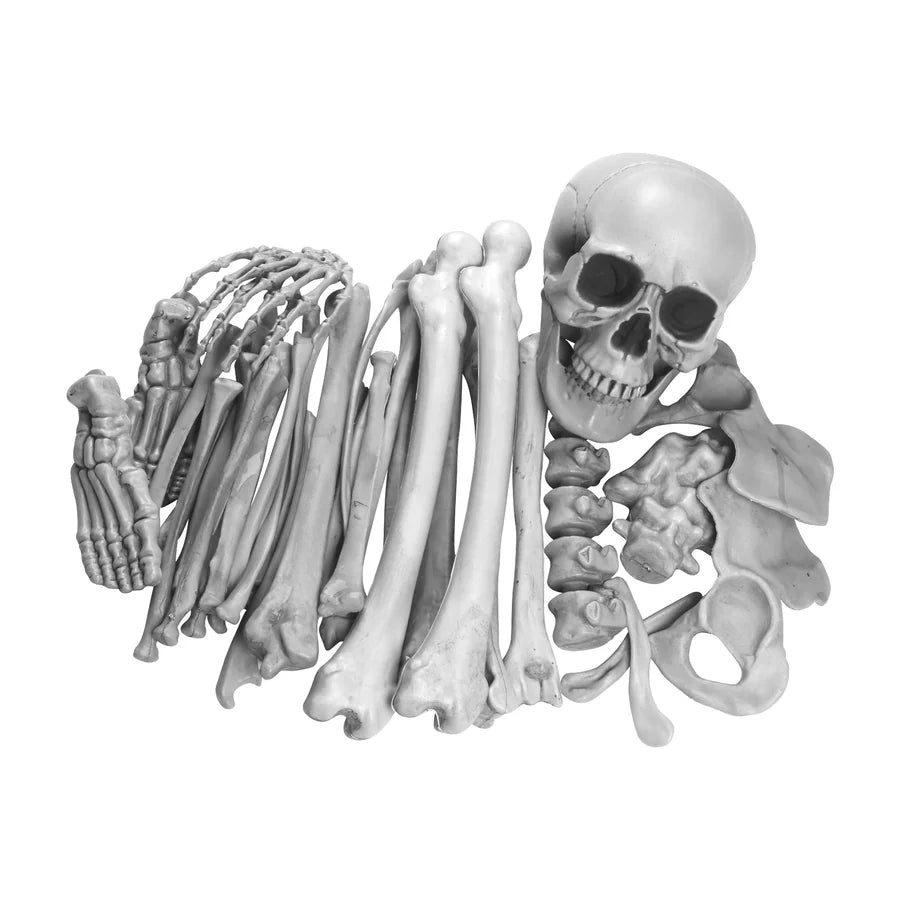 Hexley Skeleton