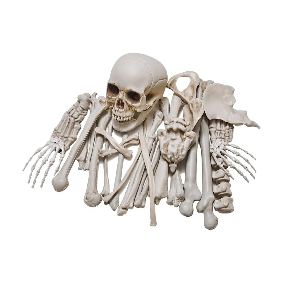 Nightfell Loose Bones, 28 pieces