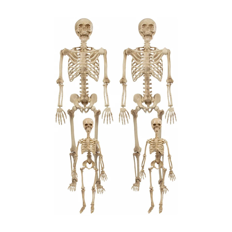 Cindervale Skeleton Family, 4 pack