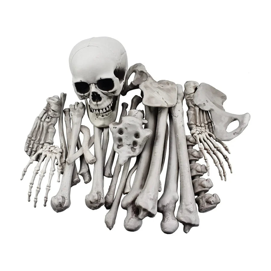 Coffinwood Loose Bones, 28 pieces