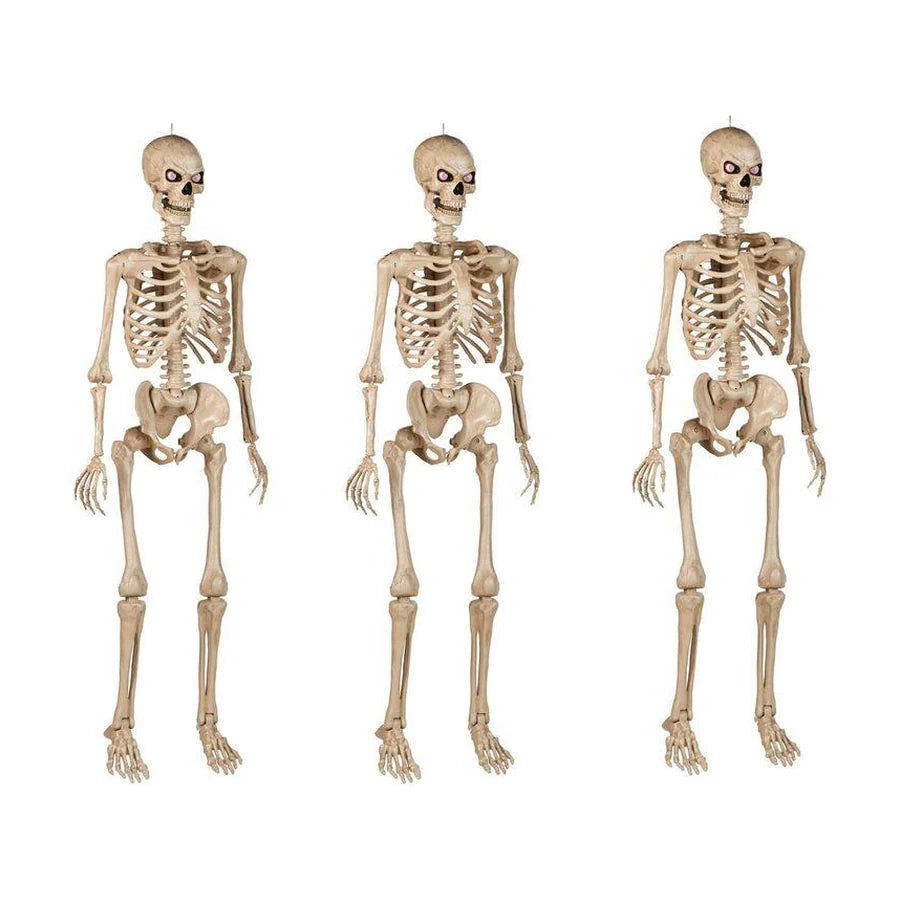 Fenwick 5 ft Poseable Skeleton, 3 pack