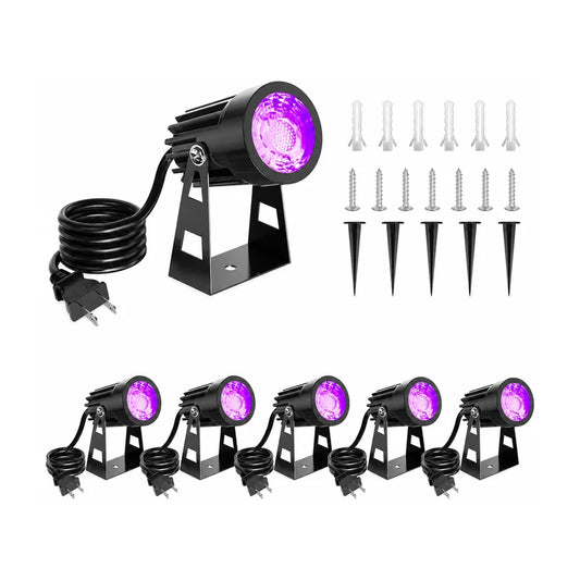 Emberline Spotlight, 6 pack