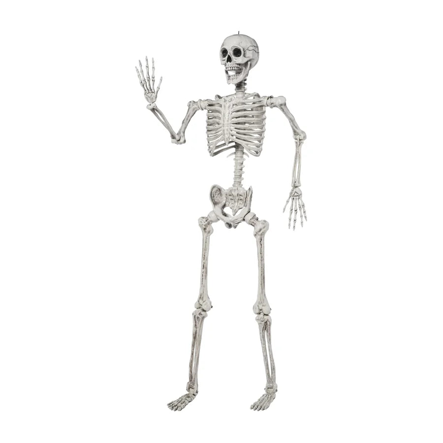Grimsby 5.6 ft Skeleton