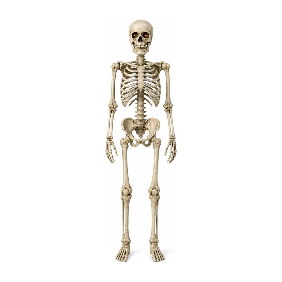 Nightwatch 7 ft Poseable Skeleton