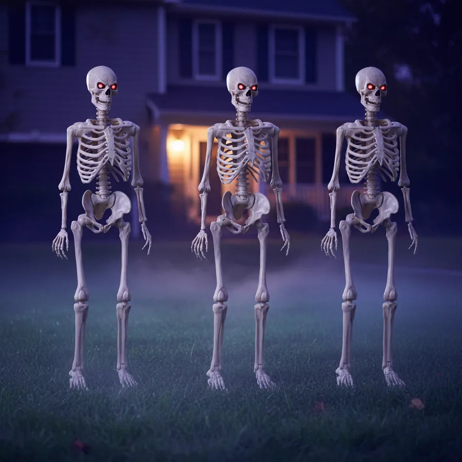 Fenwick 5 ft Poseable Skeleton, 3 pack