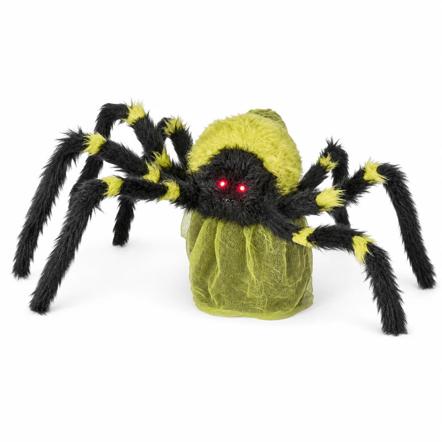 Cindervale Spider