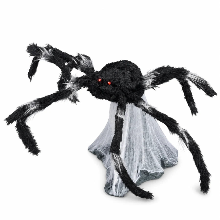 Lanternlee Spider